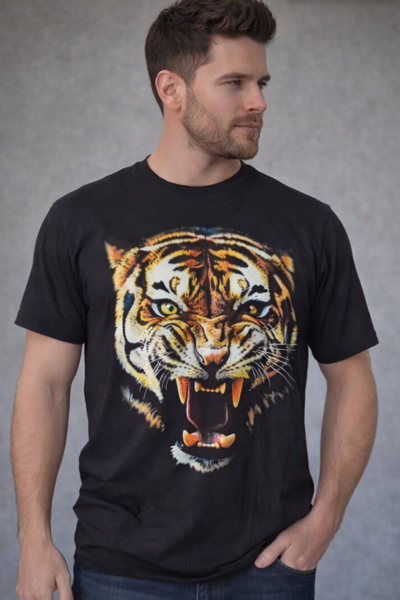 Camiseta básica collor 