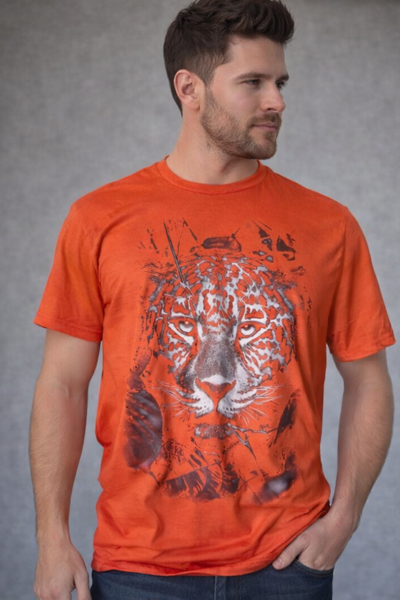 Camiseta básica collor 